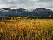 Alberta Autumn 
