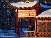 Inside the Chinese Garden