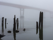 Foggy morning at the Fraser