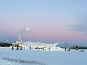Philip J Currie Dinosaur Museum