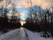 Saskatoon Island in Winter