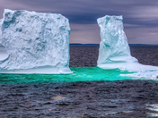 A whale of an iceberg...