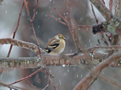 Out in the weather 