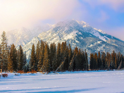 Winter In The Snowy Banff Mountains
