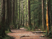 Golden Ears Provincial Park