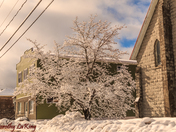 After The Snow Storm