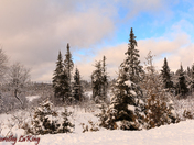 After The Snow Storm
