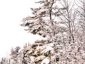 After The Snow Storm