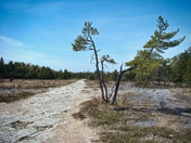ROAD TO LITTLE LAKE HURON