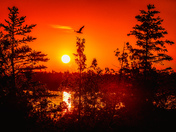 EVENING IN RED
