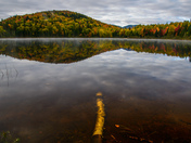 Pointing to the light 