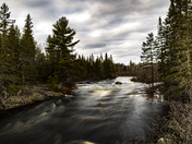 The River