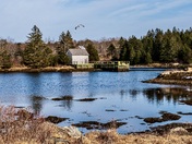 Prelude to Spring