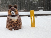 7.5 inches in Rowley!