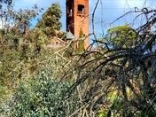Nice morning for a walk near Preston Castle in Ione.