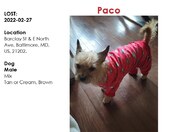 Please help find my dog. 