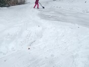 I noticed my grandaughter with a shovel in hand while I was snowblowing.