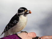 TASTY TREAT