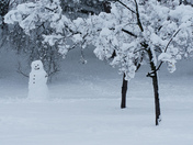A winters day 