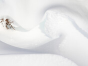 Snow Abstracts...
