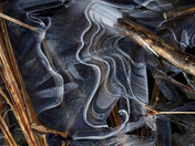 Icy abstract...