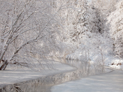 The beauty of Winter