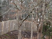 Very large snow flakes in Cedarville. So pretty. 