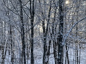 Morning after snow at the Boscowen/Concord line. 3/10/2022