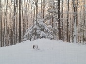 After the winter storm