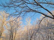 After the winter storm