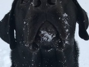 After the winter storm