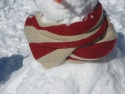 2 year old granddaughter, Ava, and I made this Patriots snowman