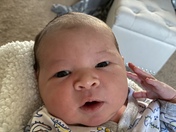 Photos sent per Andyâ€™s request relating to the birth of Josiah Gadsden on 3/3/22!