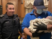 Photos sent per Andyâ€™s request relating to the birth of Josiah Gadsden on 3/3/22!