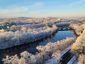 Snow blankets Watertown, Mass by the Charles River, from the 10th floor of my workplace!