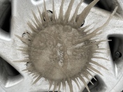 Driving the Highways today and the dirty slush made a design on the wheels of my van.