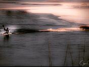 The Sunset Kayaker 