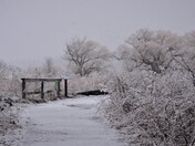 Winter is still "on".