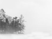 For the Love of Photography