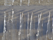Reflections of winter