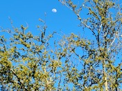 6pm 3/13/22. Guess the moon didn't get the memo about the time change