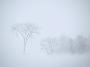 National Capital White Out 