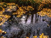 Mother Natures Reflection 