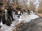 Walking on Windham Trails in Windham NH this morning 