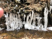 Walking on Windham Trails in Windham NH this morning 