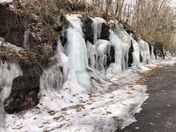 Walking on Windham Trails in Windham NH this morning 