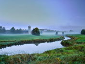 Autumn morning 