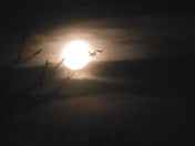 Caught the moon this morning as a plane was flying by it.