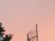 The beautiful sunrise the other day and I took a pic of it 