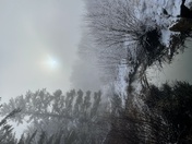 Sunrise this morning at Valentine Farm Conservation Center in Bethel, Me